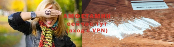индика Вязники