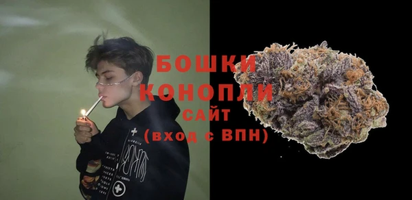 2c-b Вяземский