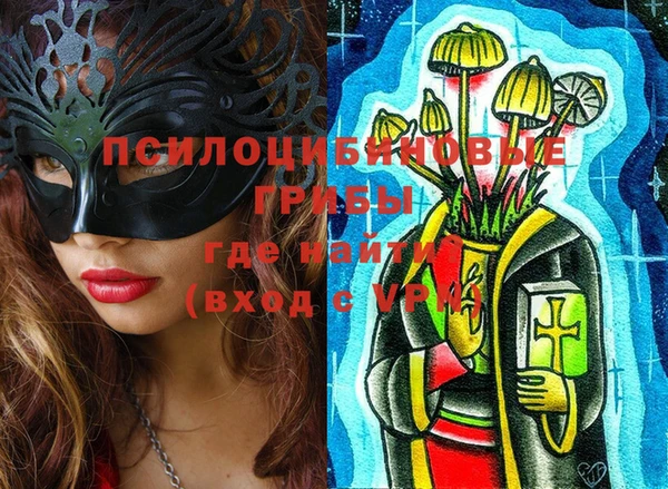 индика Вязники