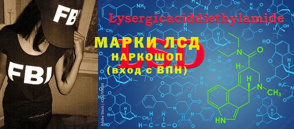 индика Вязники