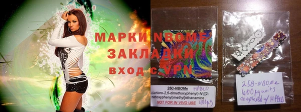 индика Вязники